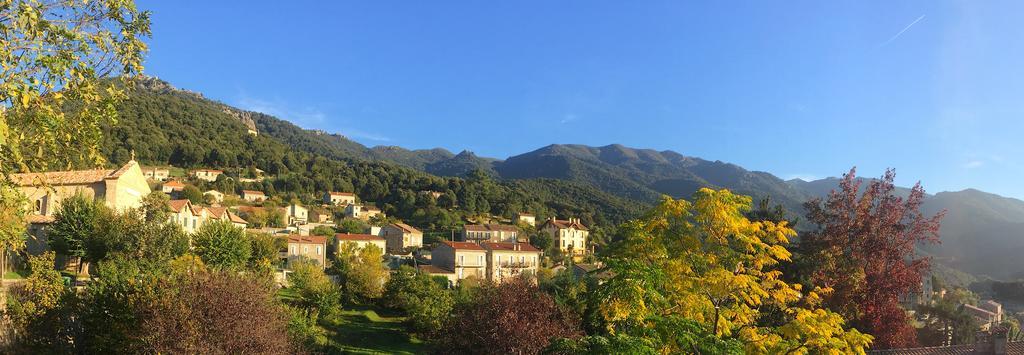 Gite Du Chalet Pietri Olivese ภายนอก รูปภาพ