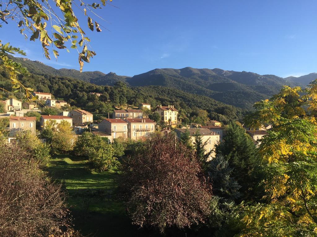 Gite Du Chalet Pietri Olivese ภายนอก รูปภาพ