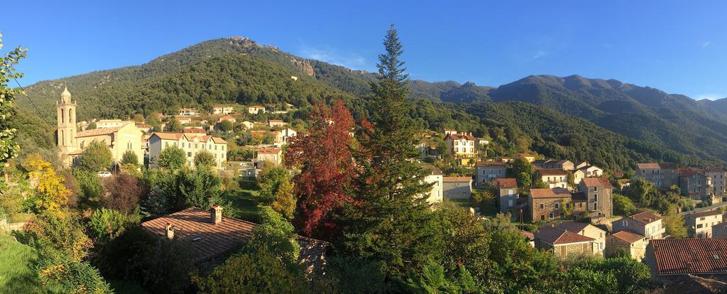 Gite Du Chalet Pietri Olivese ภายนอก รูปภาพ
