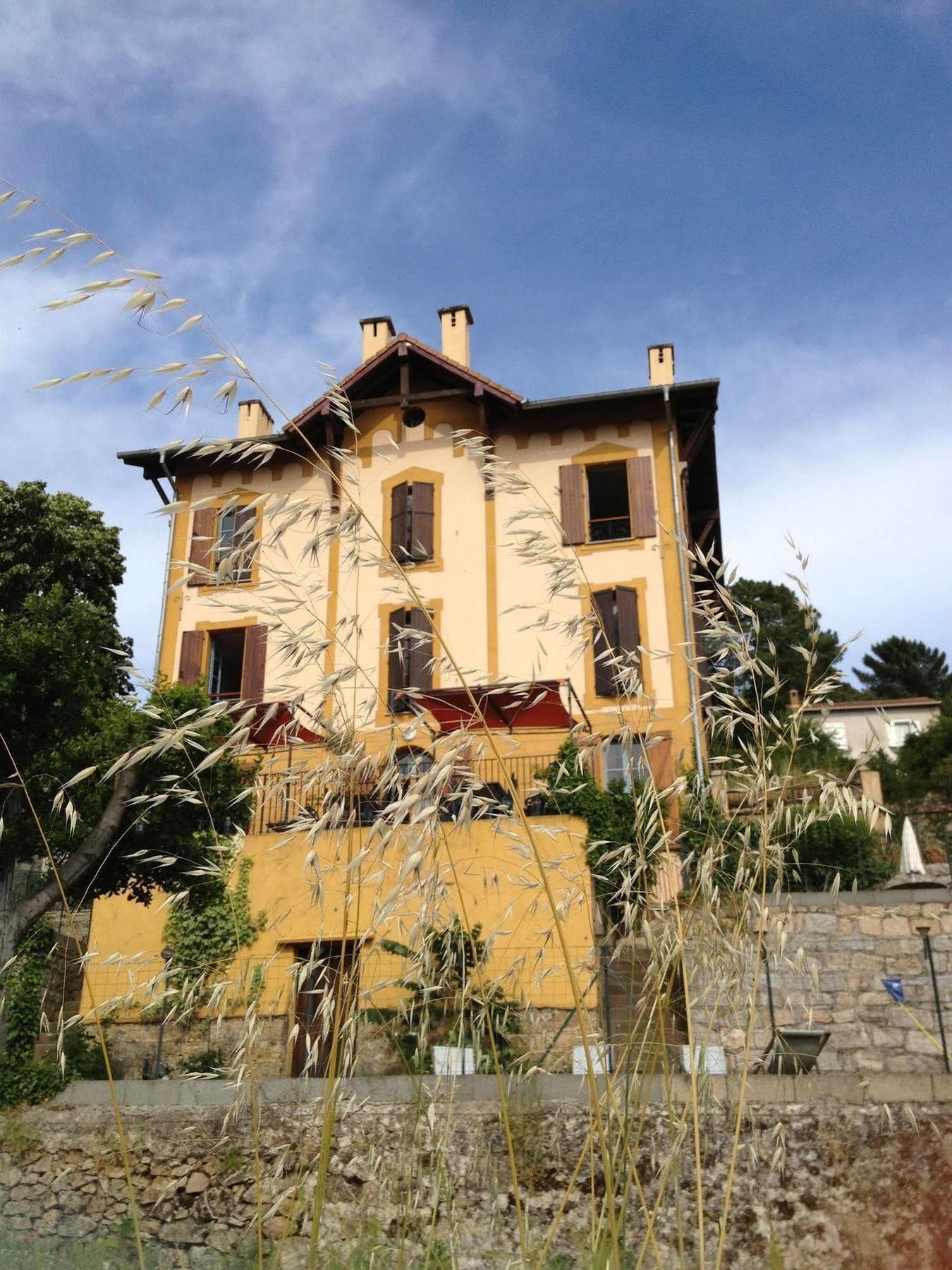 Gite Du Chalet Pietri Olivese ภายนอก รูปภาพ
