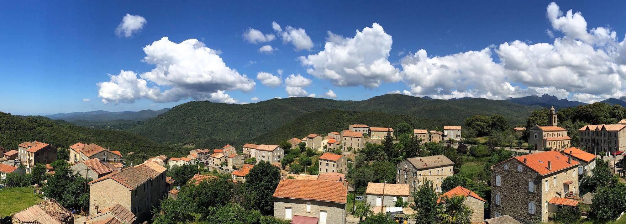 Gite Du Chalet Pietri Olivese ภายนอก รูปภาพ